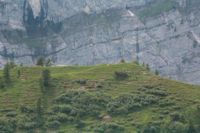 2015-06-25_03Gramaijoch (185).JPG